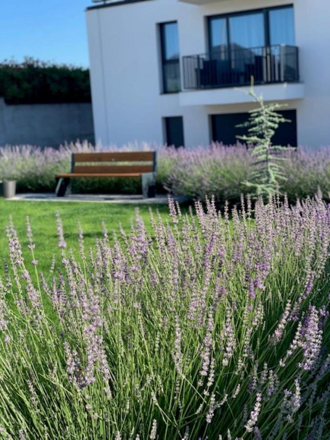 Nyergesujfalu Paskom Apartmanhaz מראה חיצוני תמונה